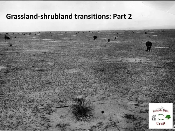 Grassland-shrubland transitions: Part 2