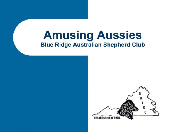 Amusing Aussies Blue Ridge Australian Shepherd Club