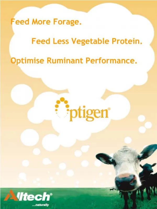 Feed More Forage. Feed Less Vegetable Protein. Optimise Ruminant Performance.