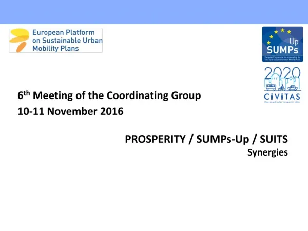 6 th Meeting of the Coordinating Group 10-11 November 2016