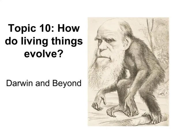 Topic 10: How do living things evolve