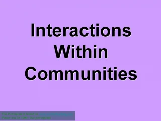 Interactions within Communities - slide 1