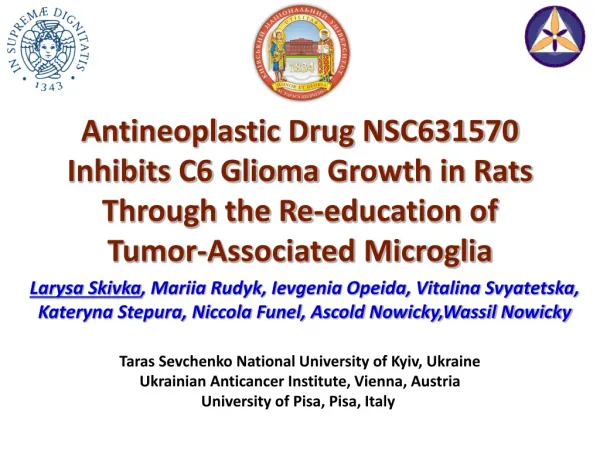 Antineoplastic Drug NSC631570 Inhibits C6 Glioma Growth in Rats Through the Re-education of
