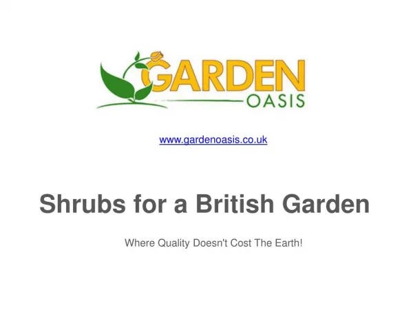 Shrubs for a British Garden