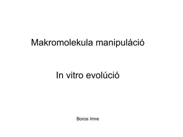 Makromolekula manipul ci In vitro evol ci Boros Imre