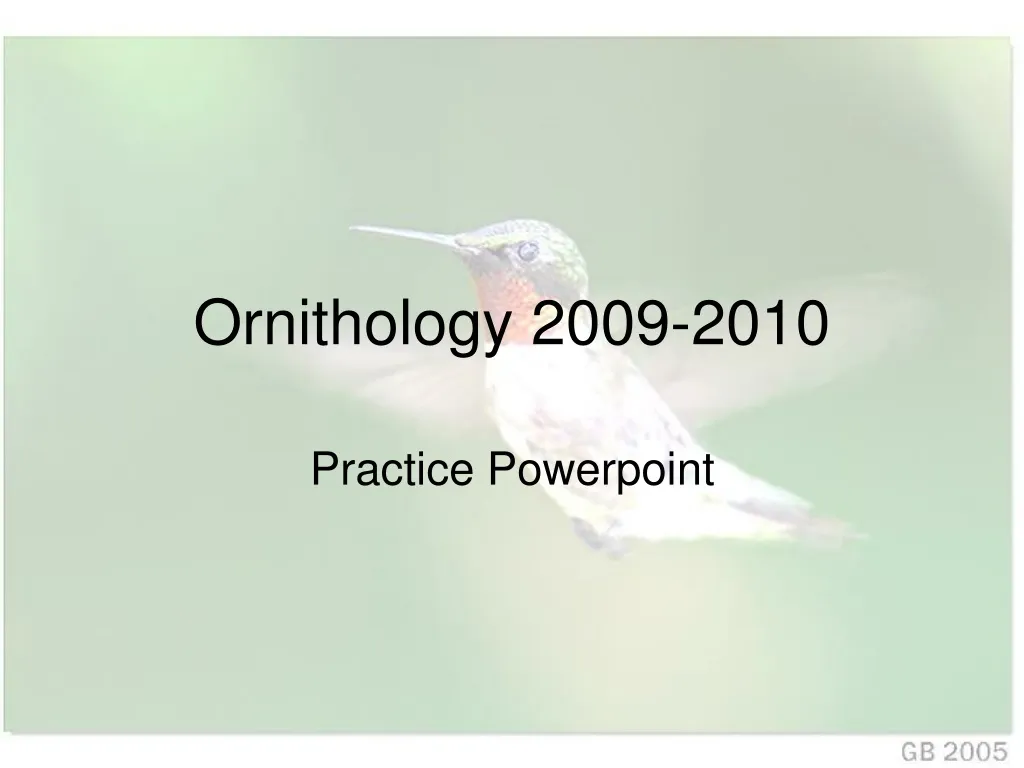 ornithology 2009 2010