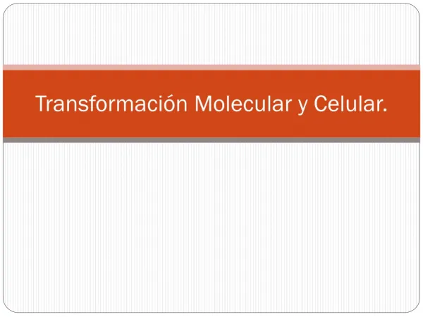 Transformación Molecular y Celular.