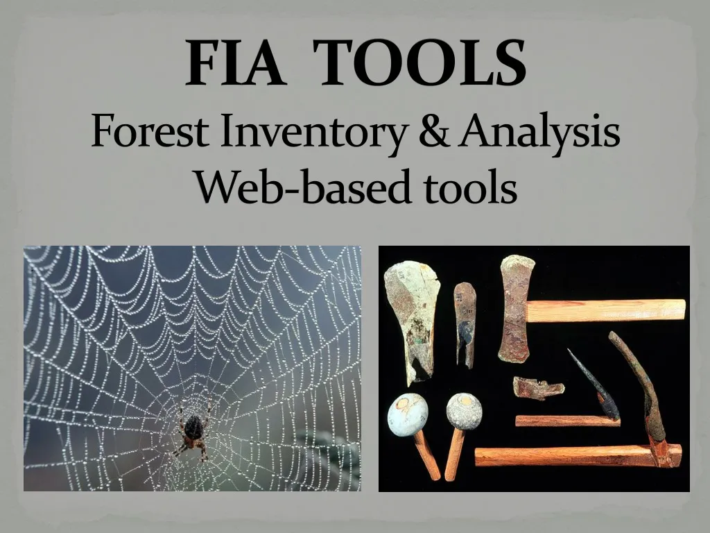 fia tools forest inventory analysis web based tools