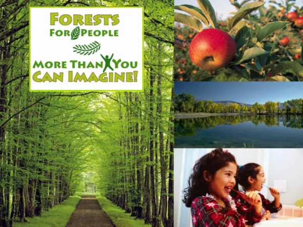 Forests For People More Than You Can Imagine