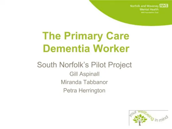 The Primary Care Dementia Worker