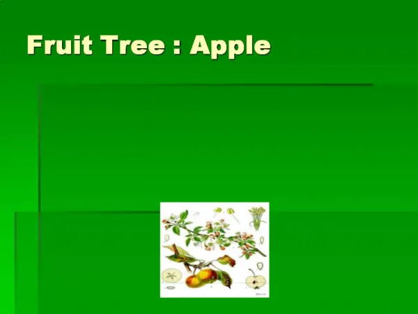 Fruit Tree : Apple