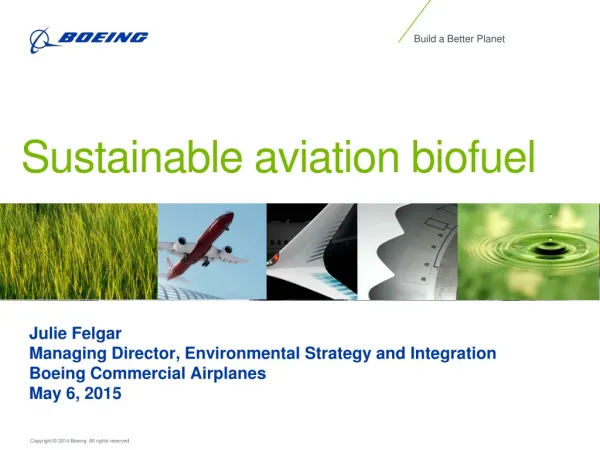 Sustainable aviation biofuel