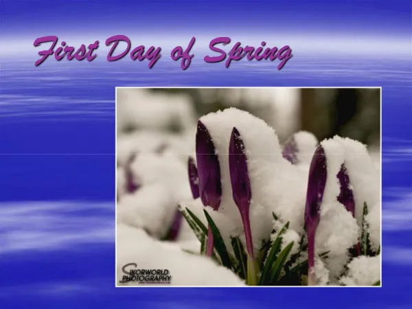 First Day of Spring