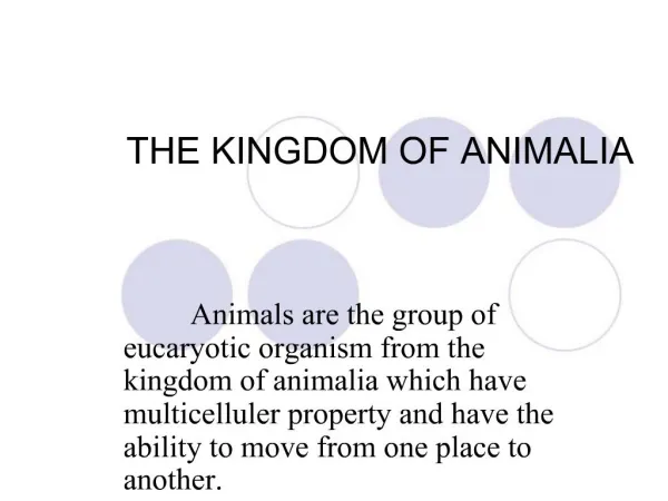 THE KINGDOM OF ANIMALIA