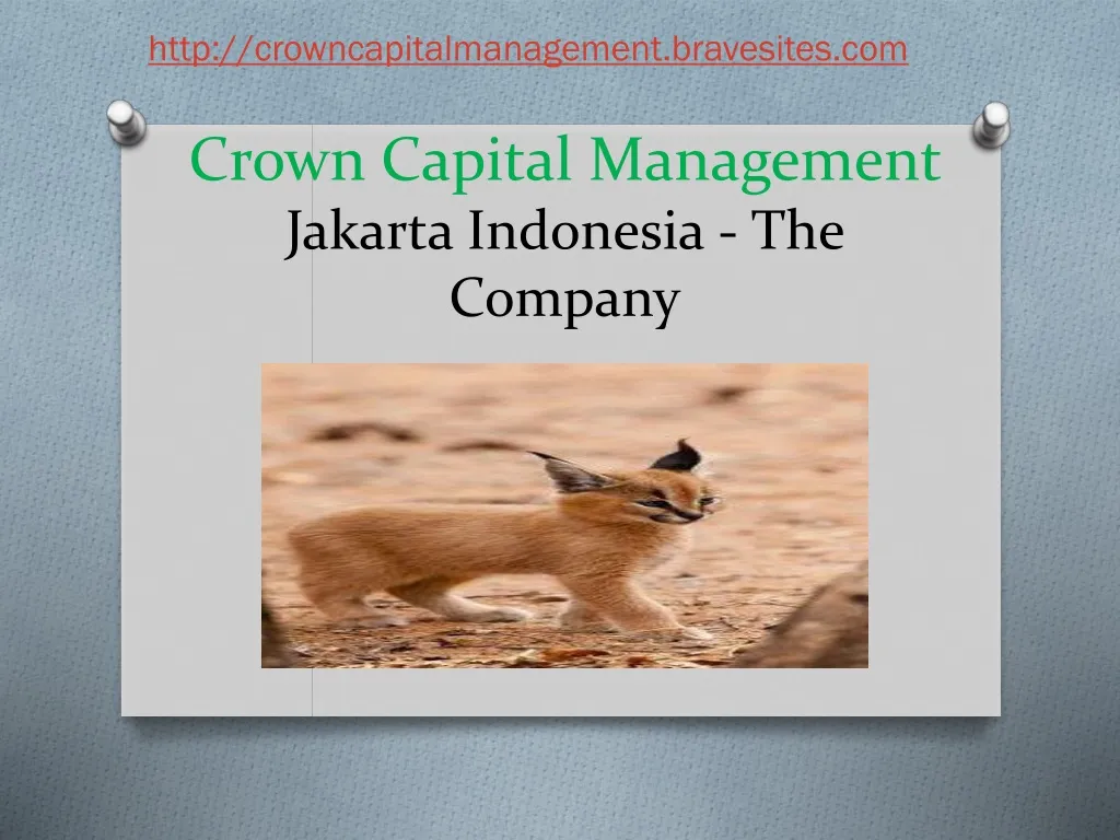 crown capital management jakarta indonesia the company