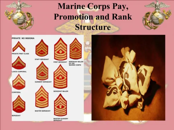 Marine Corps Pay, Promotion and Rank Structure