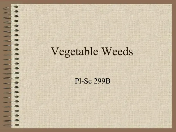 Vegetable Weeds