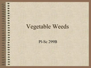 Vegetable Weeds - slide 1