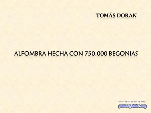 ALFOMBRA HECHA CON 750.000 BEGONIAS