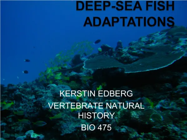 Deep-Sea Fish Adaptations