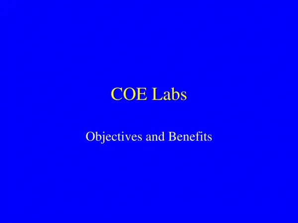 COE Labs