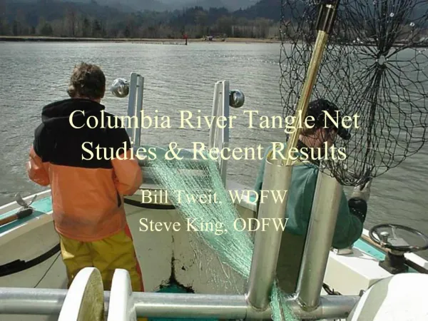 Columbia River Tangle Net Studies Recent Results