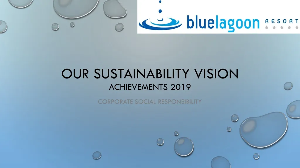 our sustainability vision achievements 2019