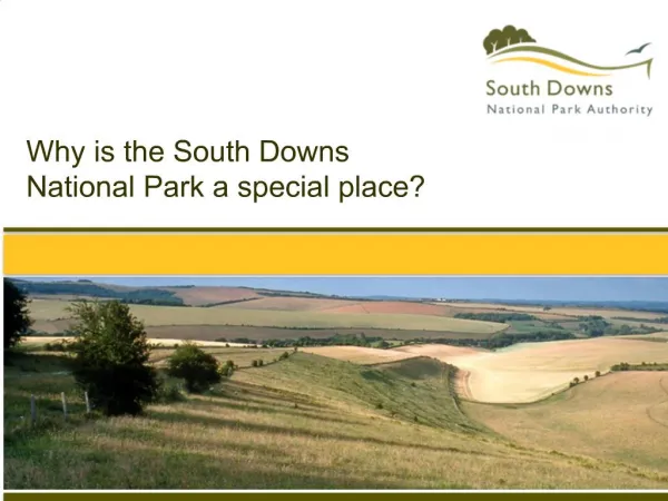 Why is the South Downs National Park a special place