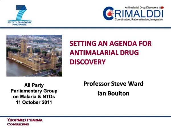 SETTING AN AGENDA FOR ANTIMALARIAL DRUG DISCOVERY