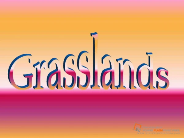 The Grasslands consist of two parts