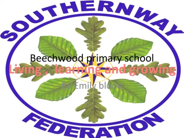 Beechwood primary school