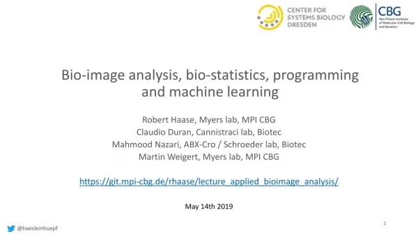 Bio-image analysis, bio-statistics, programming and machine learning