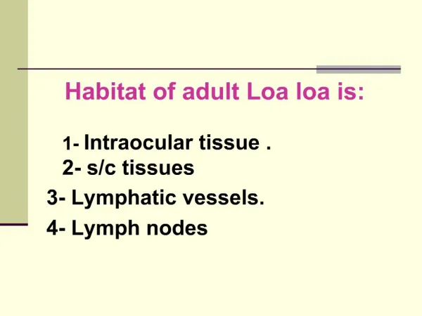 Habitat of adult Loa loa is: 1- Intraocul