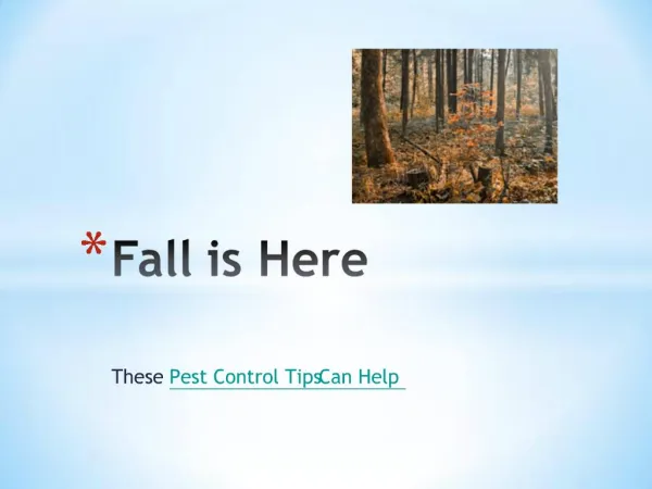 Fall is Here – Pest Control Tips That Can Help