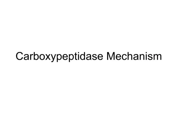 Carboxypeptidase Mechanism