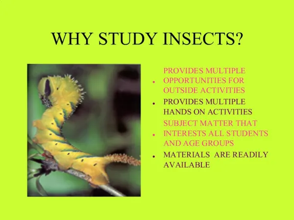 WHY STUDY INSECTS