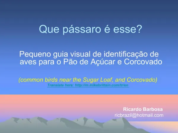 Pequeno guia visual de identifica o de aves para o P o de A car e Corcovado common birds near the Sugar Loaf, and Cor