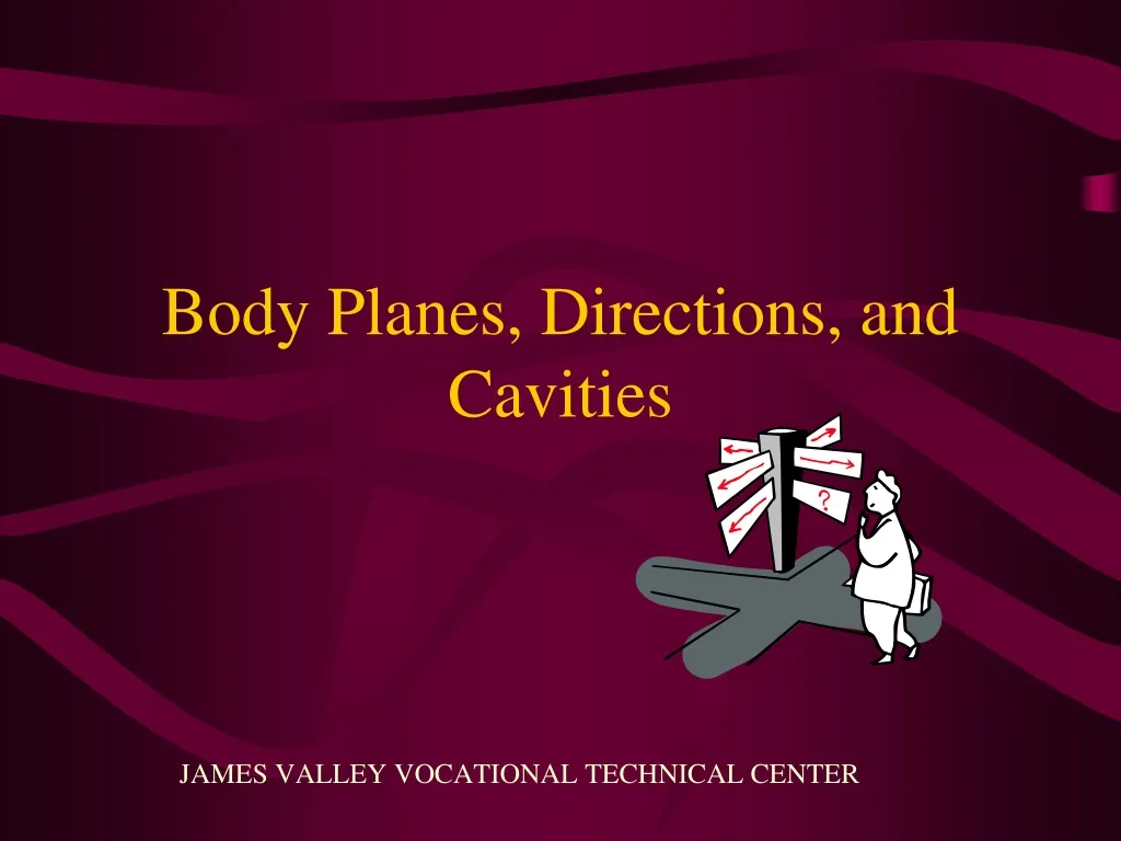 body planes directions and cavities