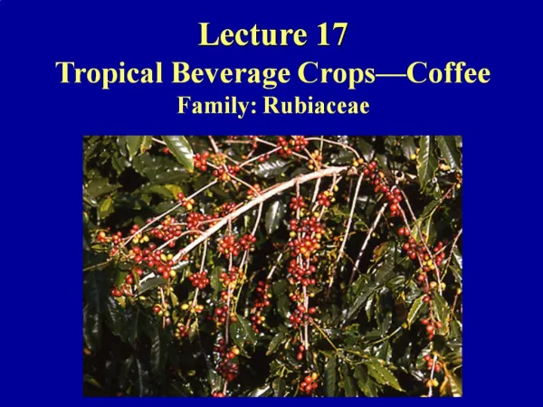 Lecture 17 Tropical Beverage Crops Coffee Family: Rubiaceae