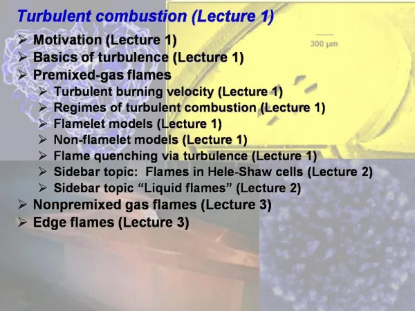 Turbulent combustion Lecture 1