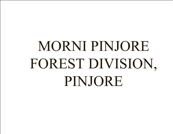 MORNI PINJORE FOREST DIVISION, PINJORE