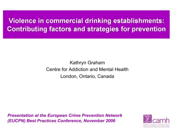 Violence in commercial drinking establishments: Contributing factors and strategies for prevention