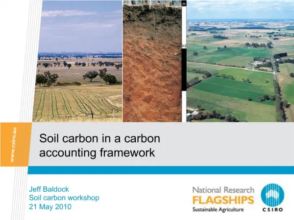 Soil carbon in a carbon accounting framework