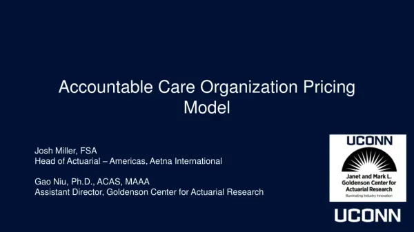 Accountable Care Organization Pricing Model