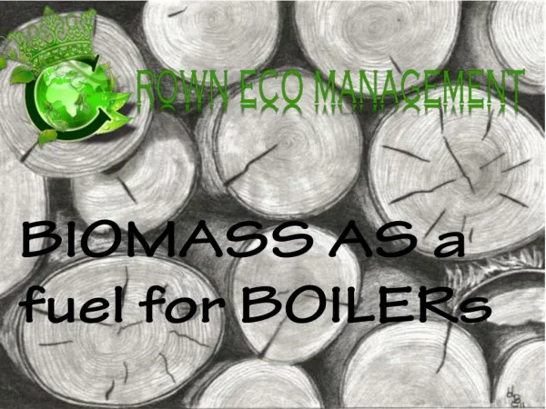BIOMASS AS a fuel for BOILERs