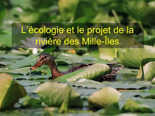 L cologie et le projet de la rivi re des Mille- les