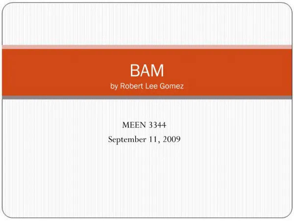 BAM by Robert Lee Gomez