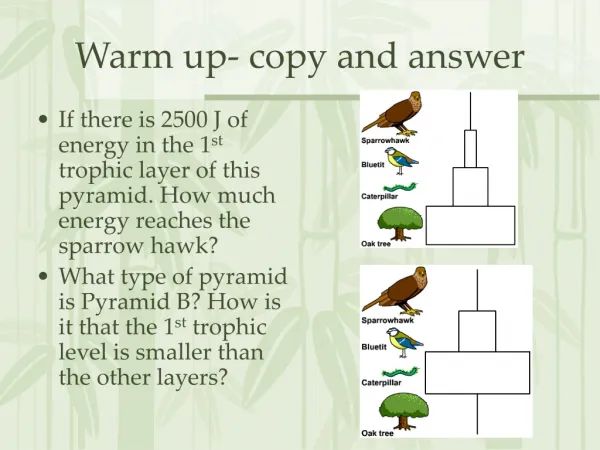 Warm up- copy and answer