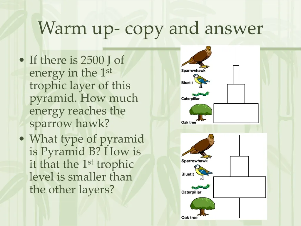 warm up copy and answer