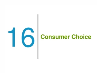 Consumer Choice - slide 1